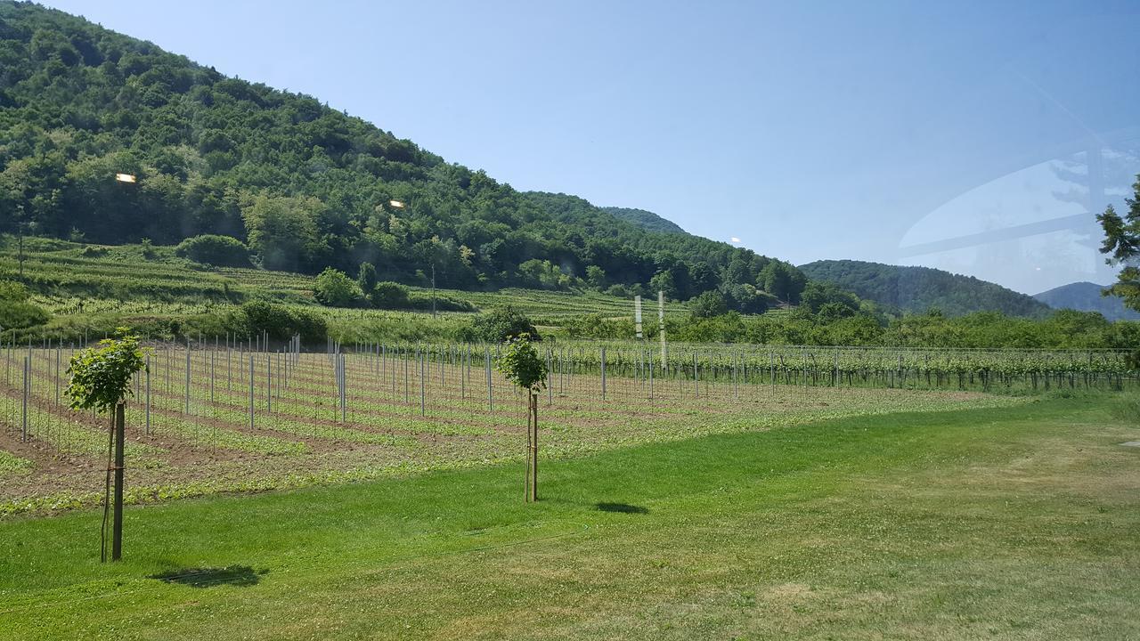 Gasthof Zur Wachau Hofarnsdorf Exterior foto